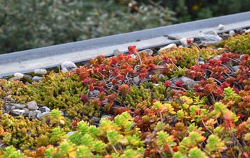 the cost of Chesterblade green roof installation