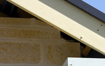 soffit repair Chesterblade